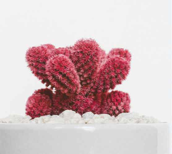 强劲高效持久的在线永久免费轰炸云呼