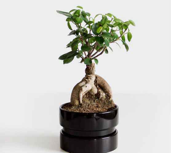 轰炸别人手机号码软件