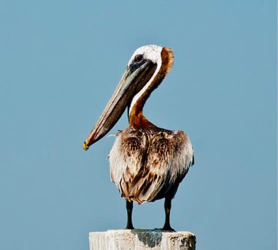手机号外呼系统